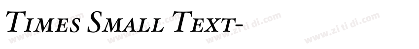 Times Small Text字体转换